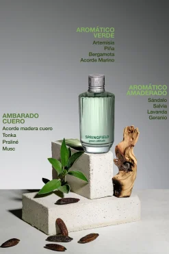 GREEN ATTITUDE