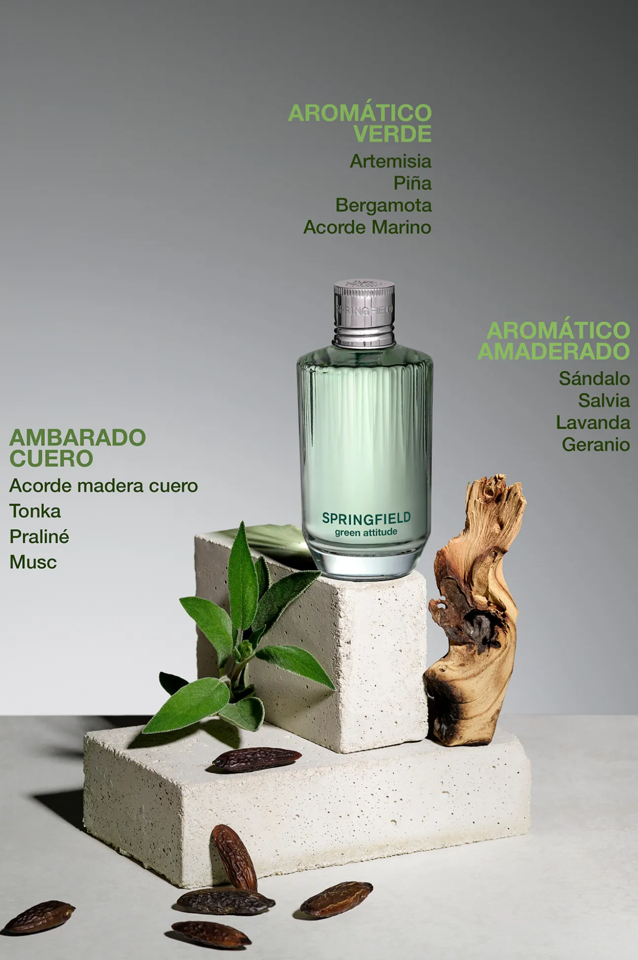 GREEN ATTITUDE