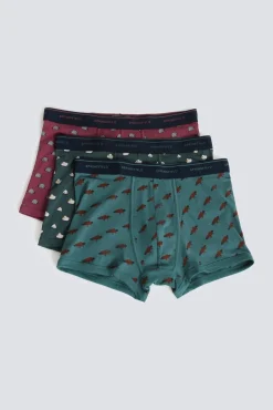 Lot 3 boxers animaux