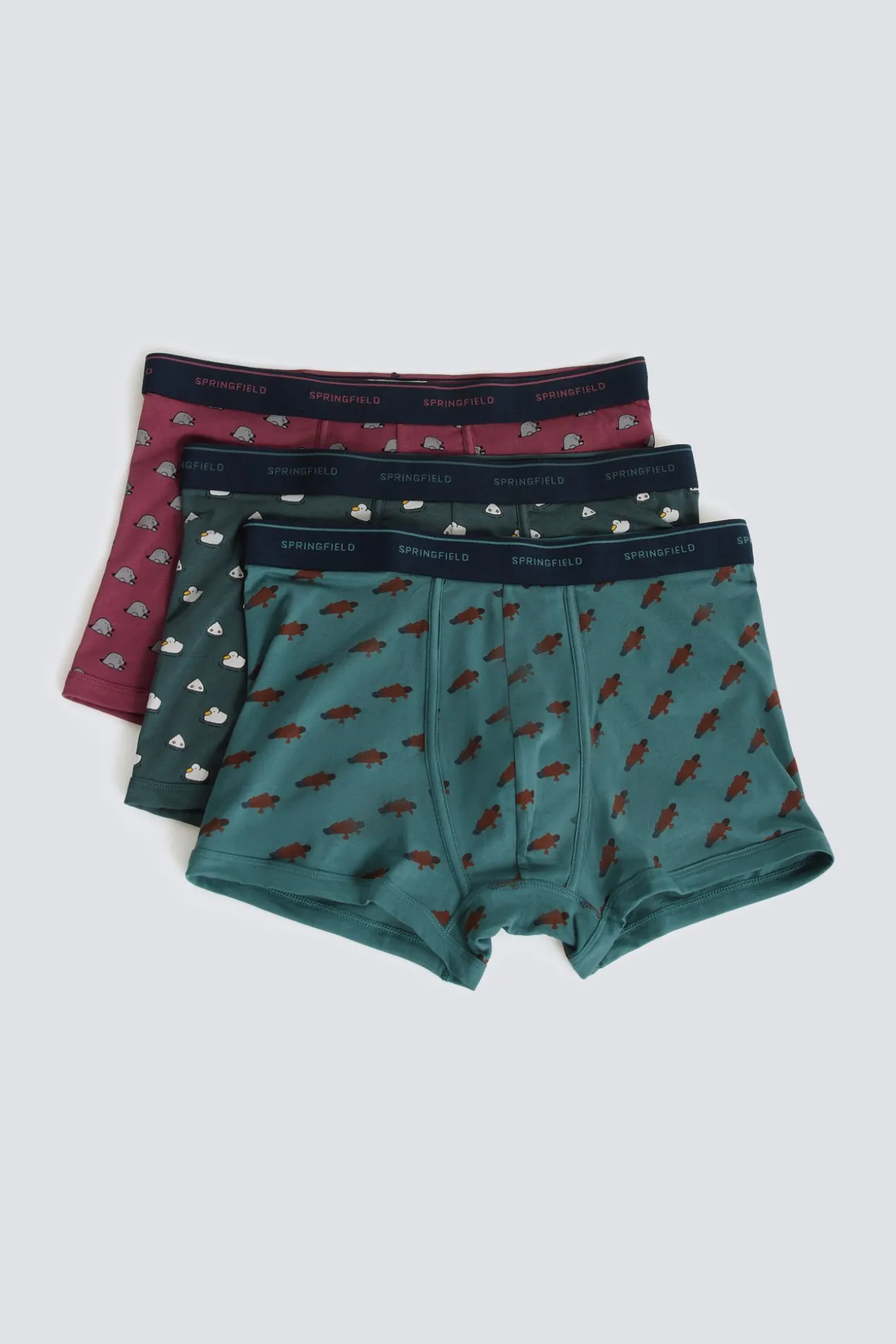 Lot 3 boxers animaux