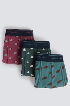 Lot 3 boxers animaux