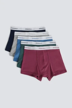 Lot de 5 boxers basiques en coton