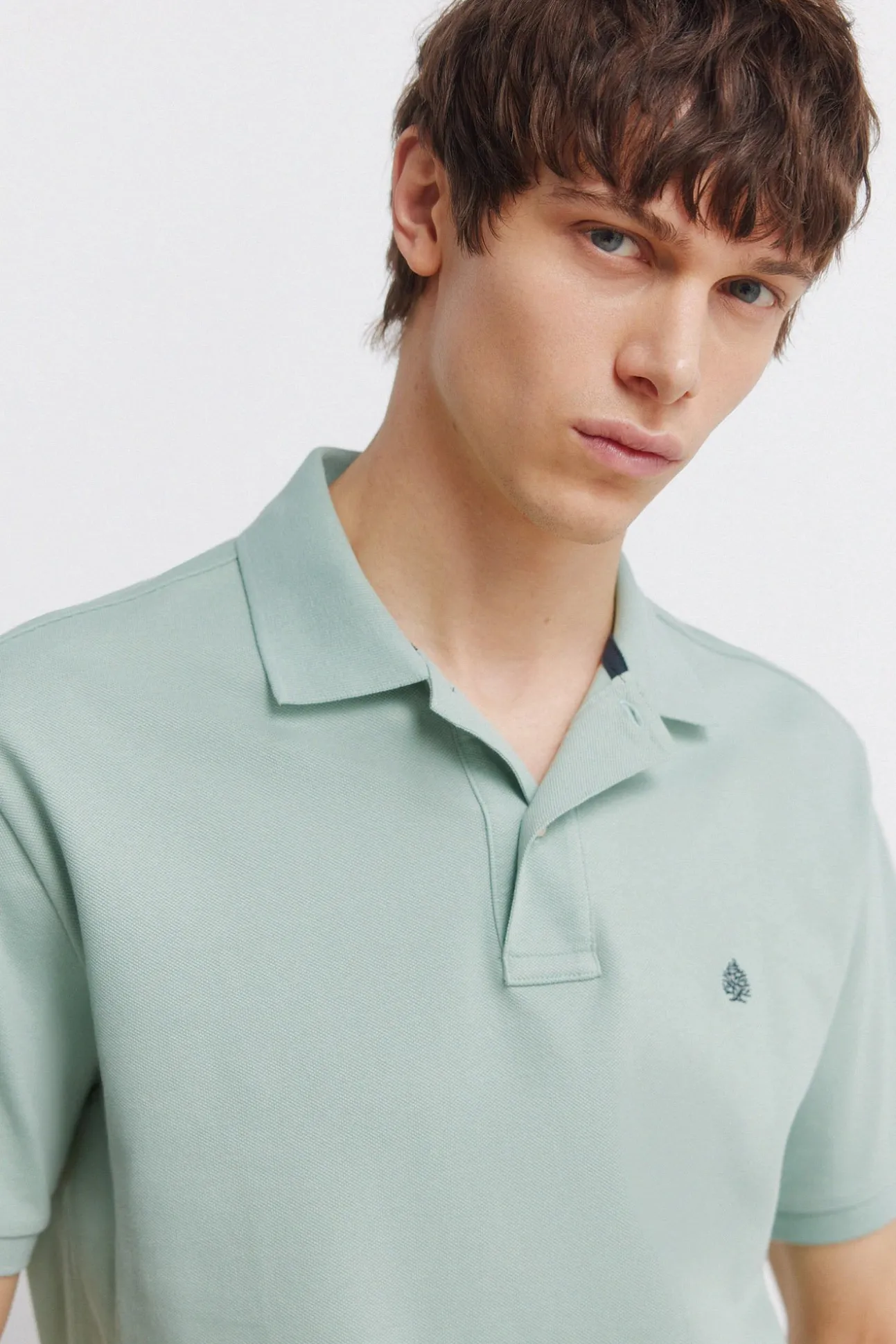 Polo basique regular fit Springfield
